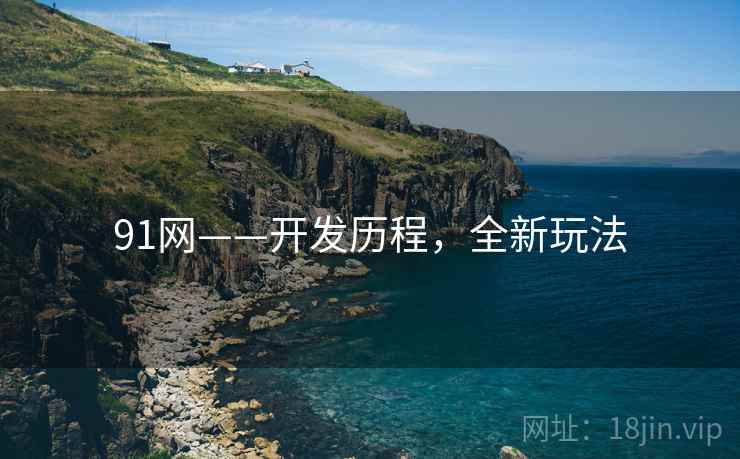91网——开发历程，全新玩法