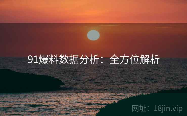 91爆料数据分析：全方位解析