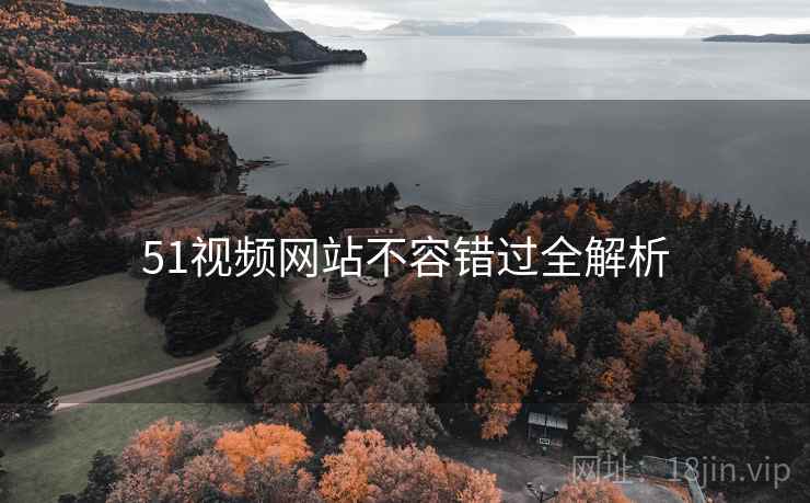 51视频网站不容错过全解析