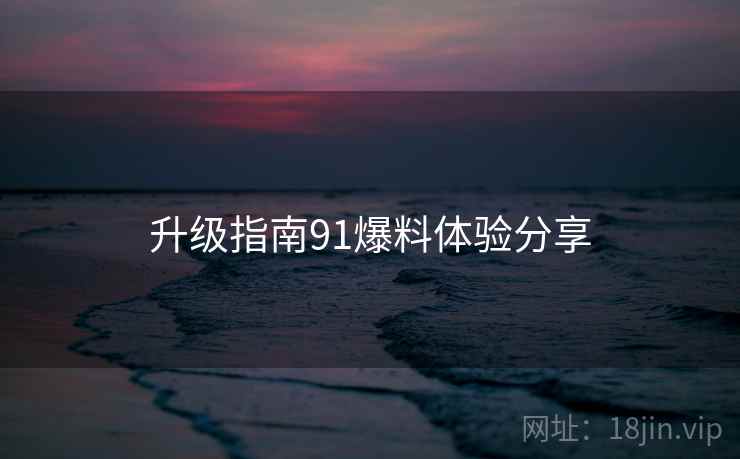 升级指南91爆料体验分享