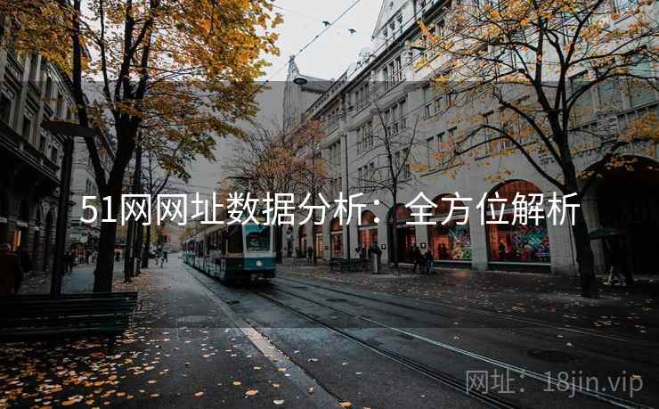 51网网址数据分析：全方位解析