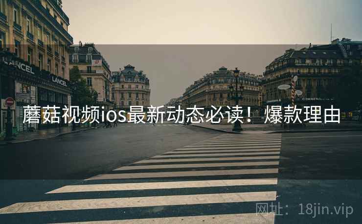 蘑菇视频ios最新动态必读！爆款理由