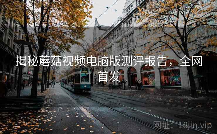 揭秘蘑菇视频电脑版测评报告，全网首发
