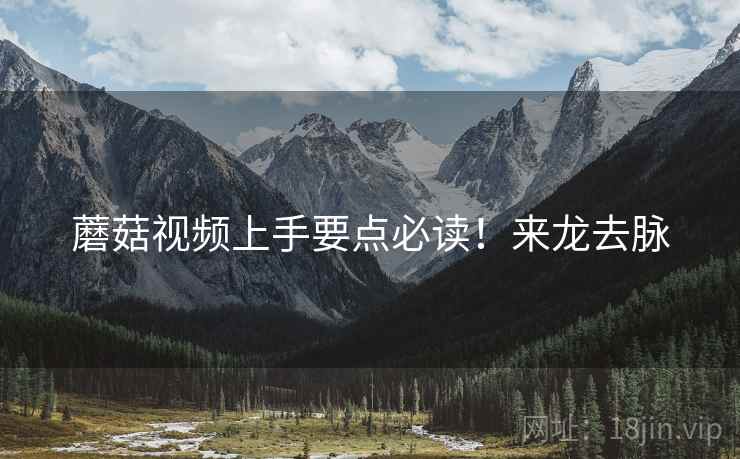 蘑菇视频上手要点必读！来龙去脉