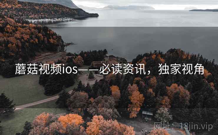 蘑菇视频ios——必读资讯，独家视角