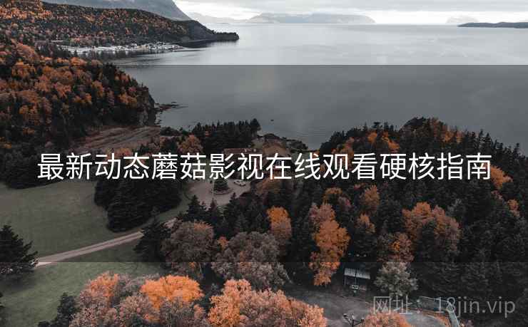 最新动态蘑菇影视在线观看硬核指南