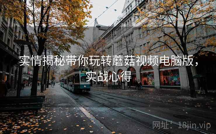 实情揭秘带你玩转蘑菇视频电脑版，实战心得