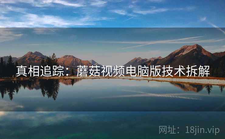 真相追踪：蘑菇视频电脑版技术拆解
