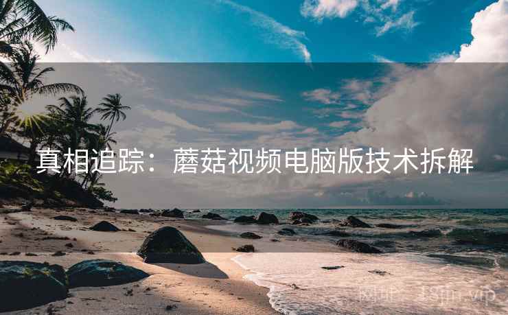 真相追踪：蘑菇视频电脑版技术拆解