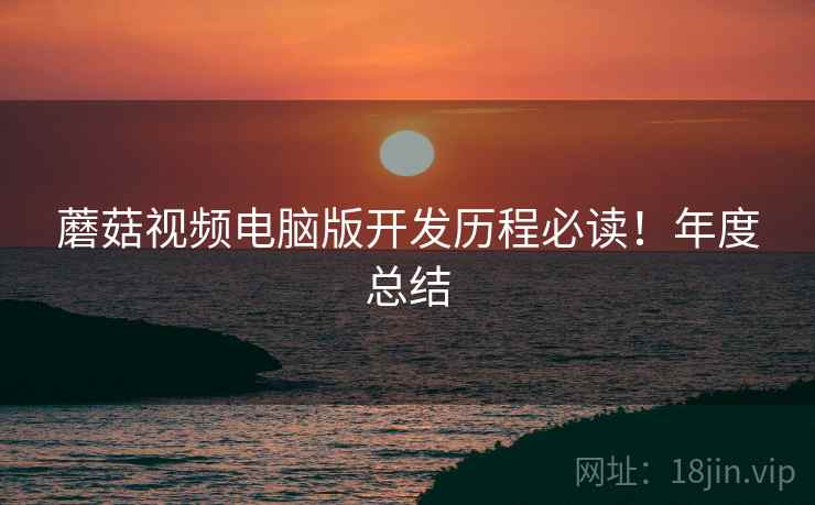 蘑菇视频电脑版开发历程必读！年度总结