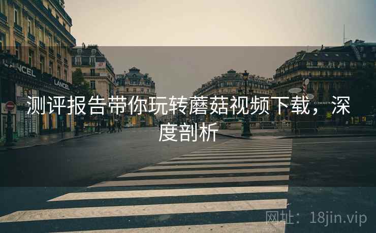 测评报告带你玩转蘑菇视频下载，深度剖析