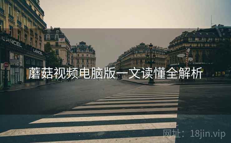蘑菇视频电脑版一文读懂全解析